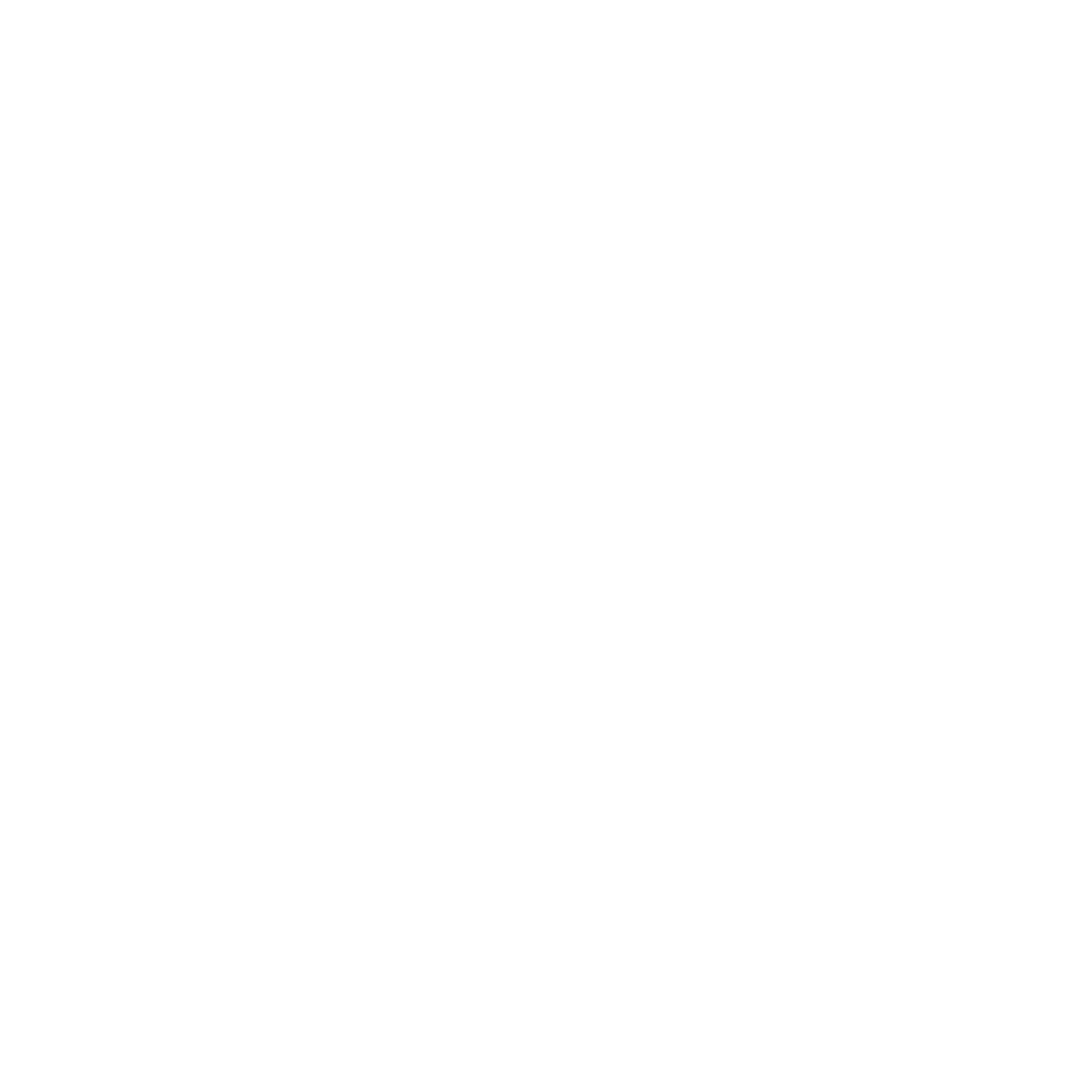 network security icon