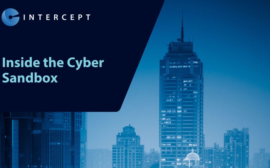 Inside the Cyber Sandbox